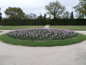 13006700_1138660136184272_8205862885500534869_n