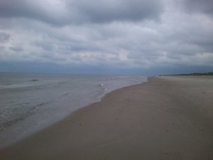 13445416_1174930335890585_7737371963411979243_n